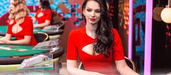 qq22 Dragon Tiger Live Casino ကစားပွဲ